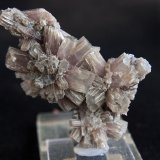 Aragonito
7 x 3.5 cm
(Autor: Pedro Antonio)