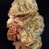 Yeso
9 x 5 cm
(Autor: Pedro Antonio)