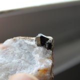 Casiterita.
1 cm. el cristal mayor.
(Autor: Rafael varela olveira)