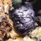 Azurita
5 x 4 mm
(Autor: Jorgina-Agusti-Màrius)