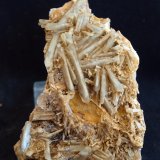Celestina
9 x 6 cm
(Autor: Pedro Antonio)