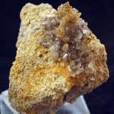 Celestina
6 x 6 cm
(Autor: Pedro Antonio)