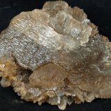 Yeso
12 x 7.5 cm
(Autor: Pedro Antonio)