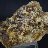 Celestina
8 x 5.5 cm
(Autor: Pedro Antonio)