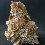 Yeso
9.5 x 6.5 cm
(Autor: Pedro Antonio)