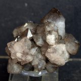 Cuarzo
6.5 x 5 cm
(Autor: Pedro Antonio)