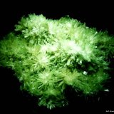 Yeso (variedad selenita)
120x90 mm.
(Autor: Jesus Franquesa Baucells)