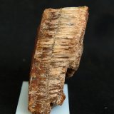 Celestina
6.5 x 3 cm
(Autor: Pedro Antonio)