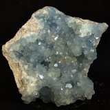 Celestina
9.5 x 9 cm
(Autor: Pedro Antonio)