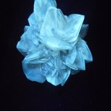 Yeso
80x70 mm.
(Autor: Jesus Franquesa Baucells)