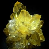 Yeso
80x70 mm.
(Autor: Jesus Franquesa Baucells)