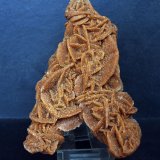 Yeso (variedad rosa del desierto)
10.5 x 8 cm
(Autor: Pedro Antonio)