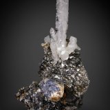 Cuarzo, Arsenopirita, Magnetita y Scheelita
128 X 73 mm
(Autor: Manuel Mesa)