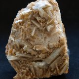 Celestina
6 x 4.5 cm
(Autor: Pedro Antonio)