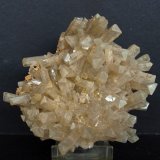 Celestina
11 x 9 cm
(Autor: Pedro Antonio)