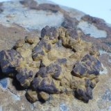 limonita pseudo Pirita
Grupo de cristales 2,4 cm
(Autor: heat00)