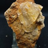 Yeso
9.5 x 6 cm
(Autor: Pedro Antonio)