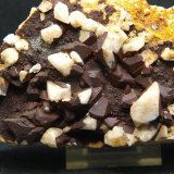 Calcita
12 x 7 cm
(Autor: Pedro Antonio)