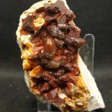 Calcita
8.5 x 4.5 cm
(Autor: Pedro Antonio)