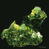 Torbernita y Autunita.
55x50 mm.
(Autor: Jesus Franquesa Baucells)