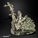 Dyscrasita pseudo Allargentum en Calcita
61 x 42 mm
(Autor: Manuel Mesa)