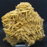 Yeso
10 x 9.5 cm
(Autor: Pedro Antonio)