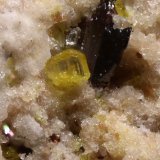 Richterita
0.5 x 0.5
(Autor: Jorgina-Agusti-Màrius)