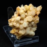 Cuarzo
6.5 x 4 cm
(Autor: Pedro Antonio)
