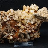 Cuarzo
15.5 x 8.5 cm
(Autor: Pedro Antonio)