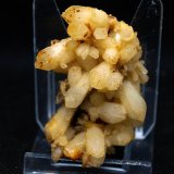 Cuarzo
5 x 3.5 cm
(Autor: Pedro Antonio)