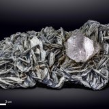 Fluorita sobre Moscovita
130 x 71 mm
(Autor: Manuel Mesa)
