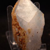 Celestina
6.5 x 4 cm
(Autor: Pedro Antonio)