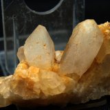 Celestina
7 x 4 cm
(Autor: Pedro Antonio)