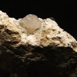 Calcita Sepiolita
9.5 x 3.5 cm
(Autor: Pedro Antonio)