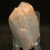 Celestina
4.5 x 7 cm
(Autor: Pedro Antonio)