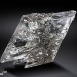 Yeso
115 X 62 mm
(Autor: Manuel Mesa)