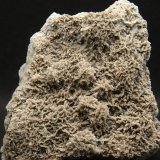 Aragonito
8 x 7.5 cm
(Autor: Pedro Antonio)