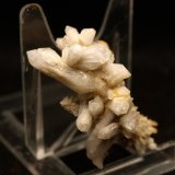 Cuarzo
5 x 2 cm
(Autor: Pedro Antonio)