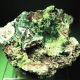 Cuprosklodowskita
65x50 mm.
(Autor: Jesus Franquesa Baucells)