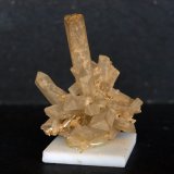 Celestina
4.5 4 cm
(Autor: Pedro Antonio)