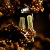 Mimetita
1,5 x 1,5 mm
(Autor: Frederic Varela)