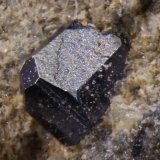 Anatasa
Cristal 0,5 mm
(Autor: Jorgina-Agusti-Màrius)