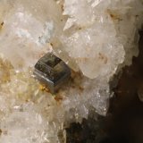 Anatasa
Cristal 0,8 mm
(Autor: Jorgina-Agusti-Màrius)