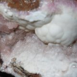 Calcita cobaltifera, calcita
3 x 1'5 cm
(Autor: Jordi Franco)