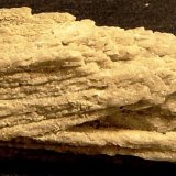 Yeso
4,7 x 2,5 cm
(Autor: angel picazo monroy)