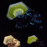 Fluorapatito
El cristal de apatito tiene 2,2 cm de diámetro
(Autor: Josele)