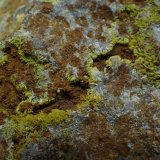 Piromorfita/Fosfohedifana
Encuadre de 2x2 cm
(Autor: Emilio Téllez)