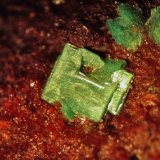 Metazeunerita
Cristal de 2 mm.
(Autor: Rafa Muñoz(mineralvarado))
