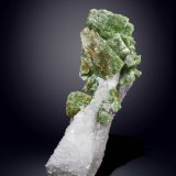 Pargasita
98 x 43 mm
(Autor: Manuel Mesa)