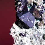 Cuprita
Cristal de 1,5 cm.
(Autor: Antonio P. López)